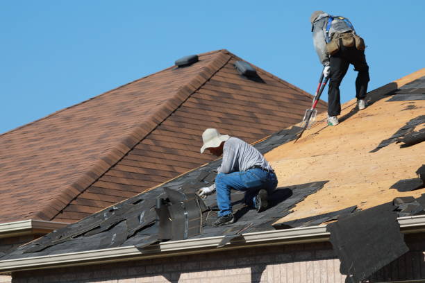 Skylights in Trion, GA